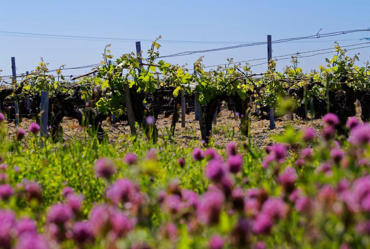 Domaine De Ludeye Ξενοδοχείο Listrac-Médoc Εξωτερικό φωτογραφία