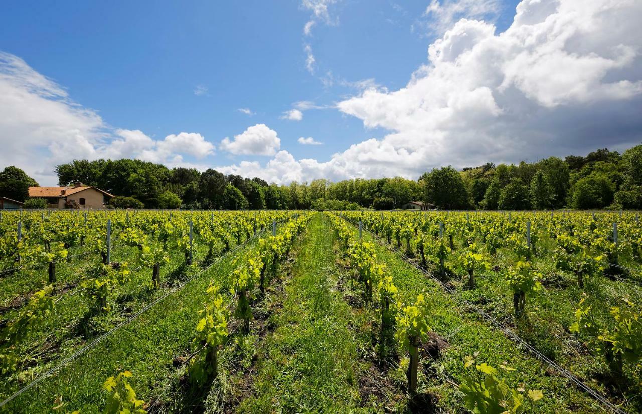 Domaine De Ludeye Ξενοδοχείο Listrac-Médoc Εξωτερικό φωτογραφία